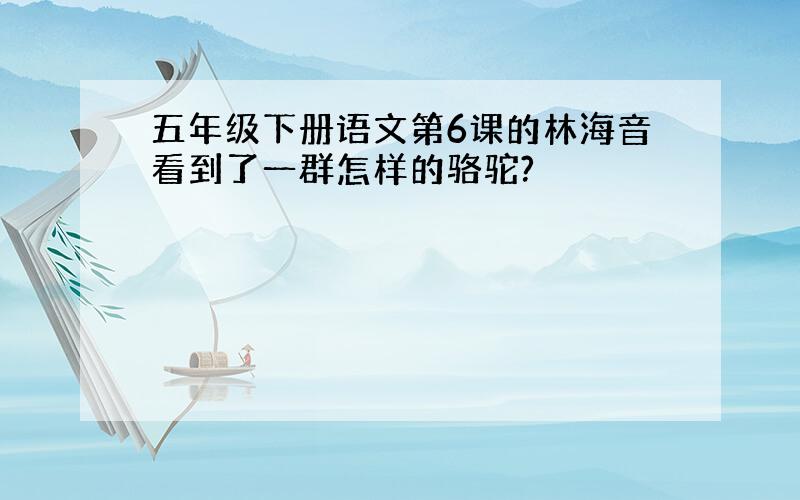 五年级下册语文第6课的林海音看到了一群怎样的骆驼?