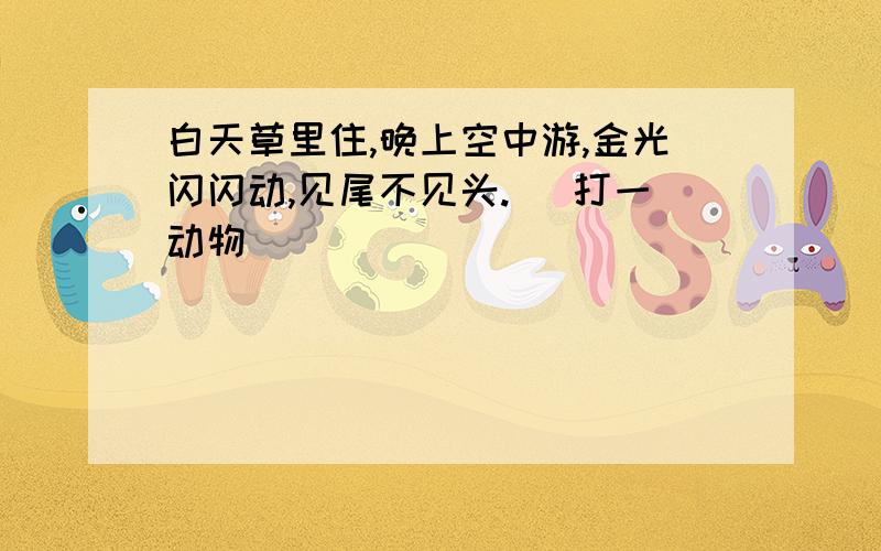 白天草里住,晚上空中游,金光闪闪动,见尾不见头. (打一动物)