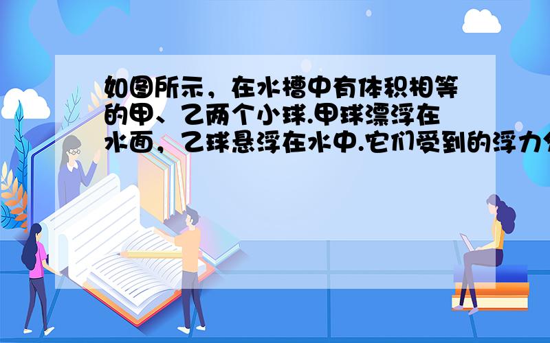 如图所示，在水槽中有体积相等的甲、乙两个小球.甲球漂浮在水面，乙球悬浮在水中.它们受到的浮力分别为F甲和F乙；它们的密度