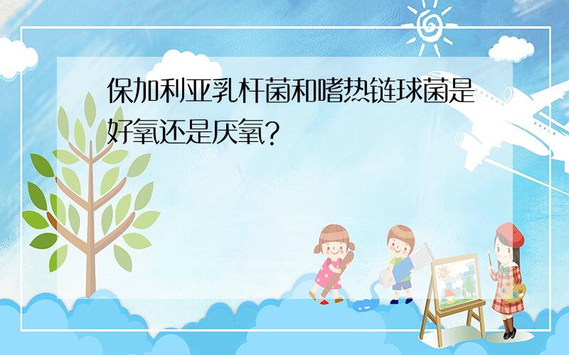 保加利亚乳杆菌和嗜热链球菌是好氧还是厌氧?