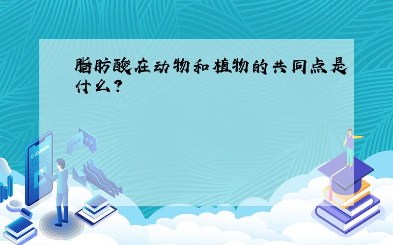 脂肪酸在动物和植物的共同点是什么?