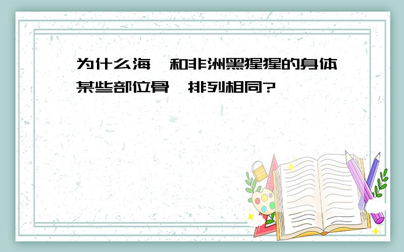 为什么海豚和非洲黑猩猩的身体某些部位骨骼排列相同?