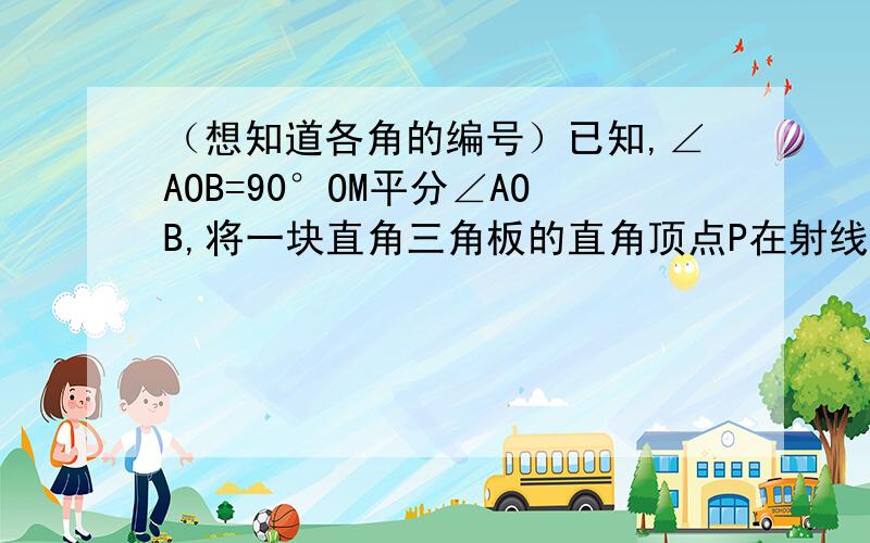 （想知道各角的编号）已知,∠AOB=90°OM平分∠AOB,将一块直角三角板的直角顶点P在射线OM上移动,两直角分