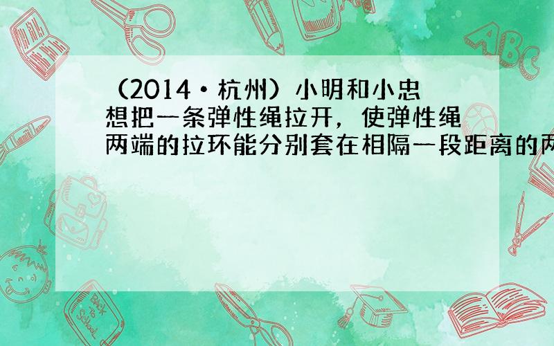 （2014•杭州）小明和小忠想把一条弹性绳拉开，使弹性绳两端的拉环能分别套在相隔一段距离的两根柱子上，用来晒衣服．现有两