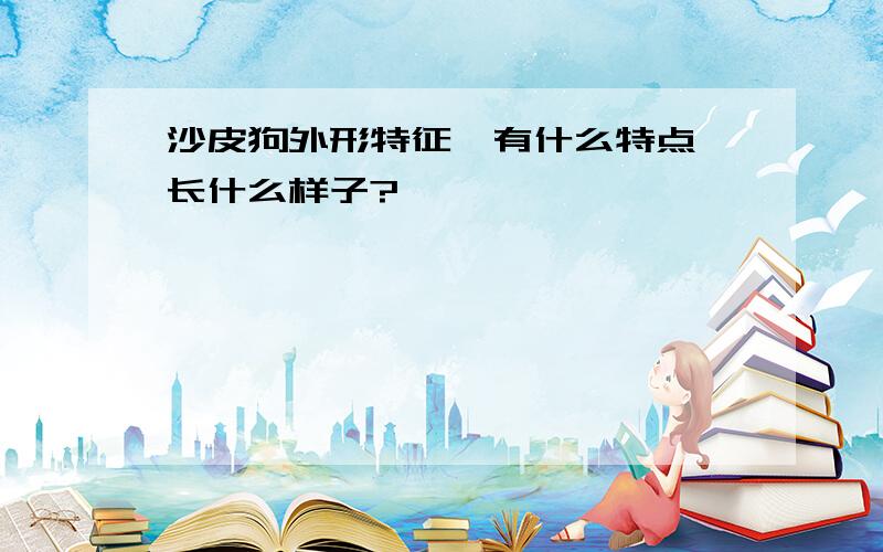 沙皮狗外形特征,有什么特点,长什么样子?