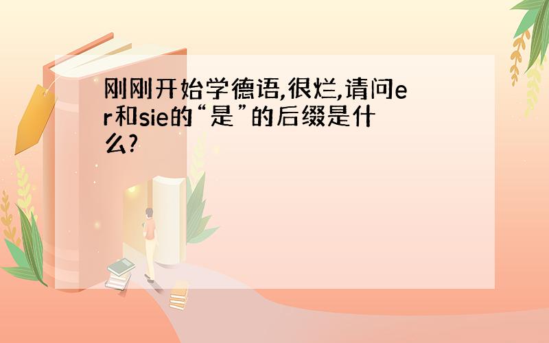 刚刚开始学德语,很烂,请问er和sie的“是”的后缀是什么?