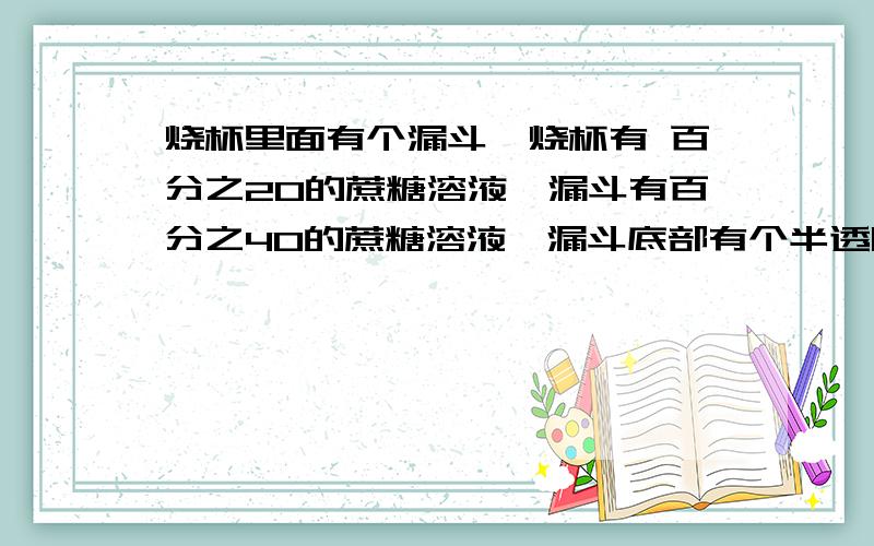 烧杯里面有个漏斗,烧杯有 百分之20的蔗糖溶液,漏斗有百分之40的蔗糖溶液,漏斗底部有个半透膜,当溶液停止时,溶液内外的