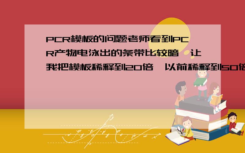 PCR模板的问题老师看到PCR产物电泳出的条带比较暗,让我把模板稀释到20倍,以前稀释到50倍,为什么变小了?