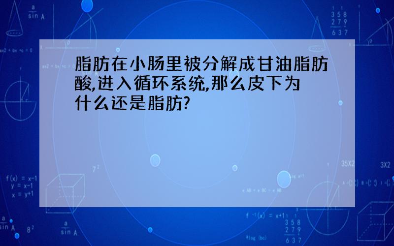 脂肪在小肠里被分解成甘油脂肪酸,进入循环系统,那么皮下为什么还是脂肪?