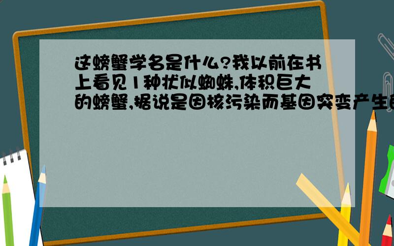 这螃蟹学名是什么?我以前在书上看见1种状似蜘蛛,体积巨大的螃蟹,据说是因核污染而基因突变产生的新品种(流汗,核污染也可以