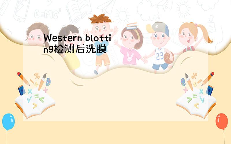 Western blotting检测后洗膜