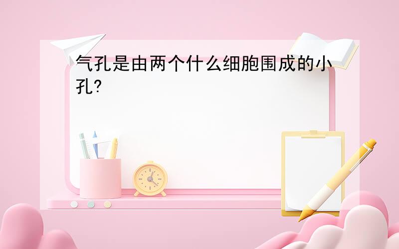 气孔是由两个什么细胞围成的小孔?