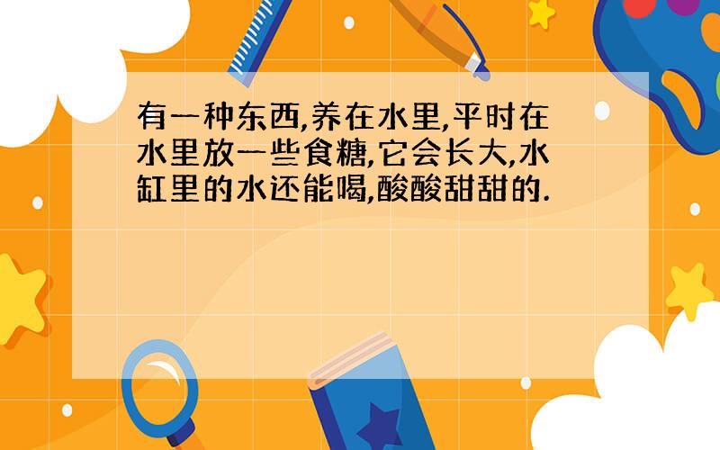 有一种东西,养在水里,平时在水里放一些食糖,它会长大,水缸里的水还能喝,酸酸甜甜的.