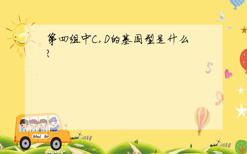 第四组中C,D的基因型是什么？