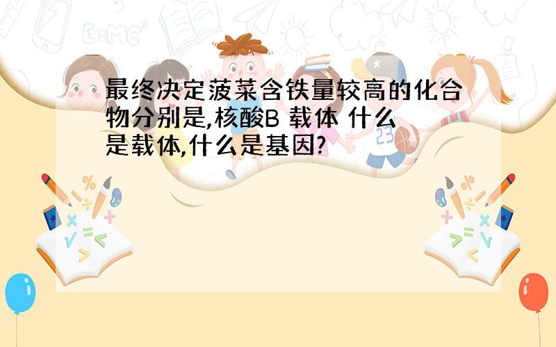 最终决定菠菜含铁量较高的化合物分别是,核酸B 载体 什么是载体,什么是基因?