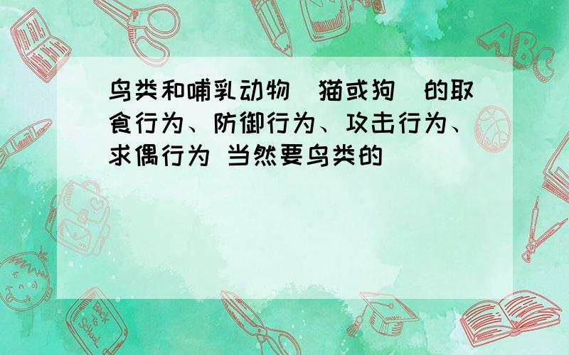 鸟类和哺乳动物（猫或狗）的取食行为、防御行为、攻击行为、求偶行为 当然要鸟类的