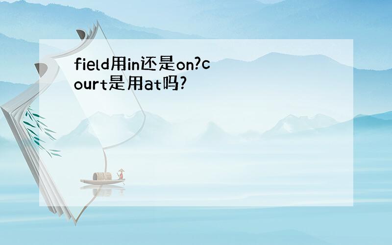 field用in还是on?court是用at吗?