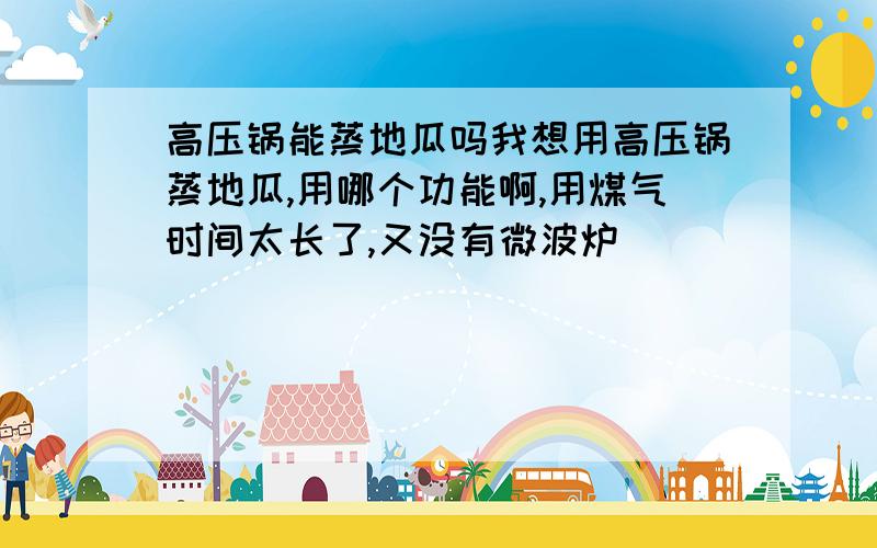 高压锅能蒸地瓜吗我想用高压锅蒸地瓜,用哪个功能啊,用煤气时间太长了,又没有微波炉