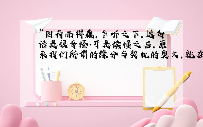 “因荷而得藕,乍听之下,这句话是很奇怪.可是读懂之后,原来我们所谓的缘分与契机的奥义,就在其中了……这是第二次问了,我相