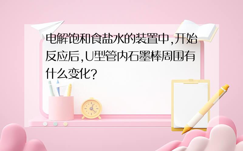 电解饱和食盐水的装置中,开始反应后,U型管内石墨棒周围有什么变化?