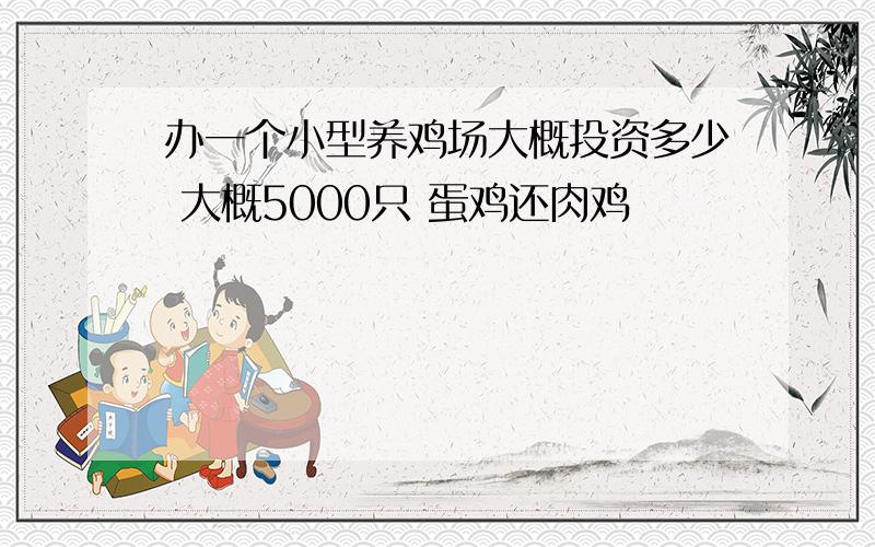 办一个小型养鸡场大概投资多少 大概5000只 蛋鸡还肉鸡