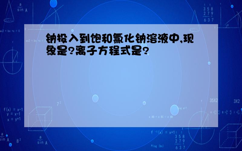 钠投入到饱和氯化钠溶液中,现象是?离子方程式是?