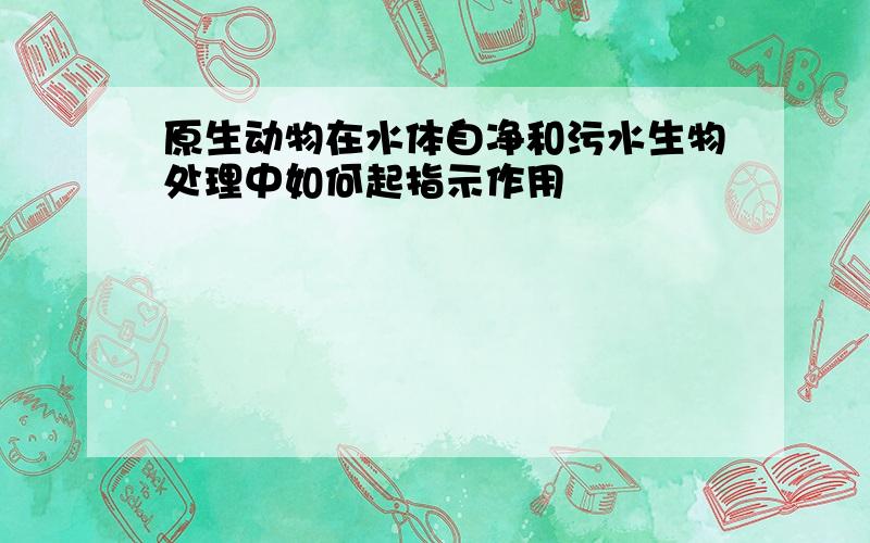 原生动物在水体自净和污水生物处理中如何起指示作用