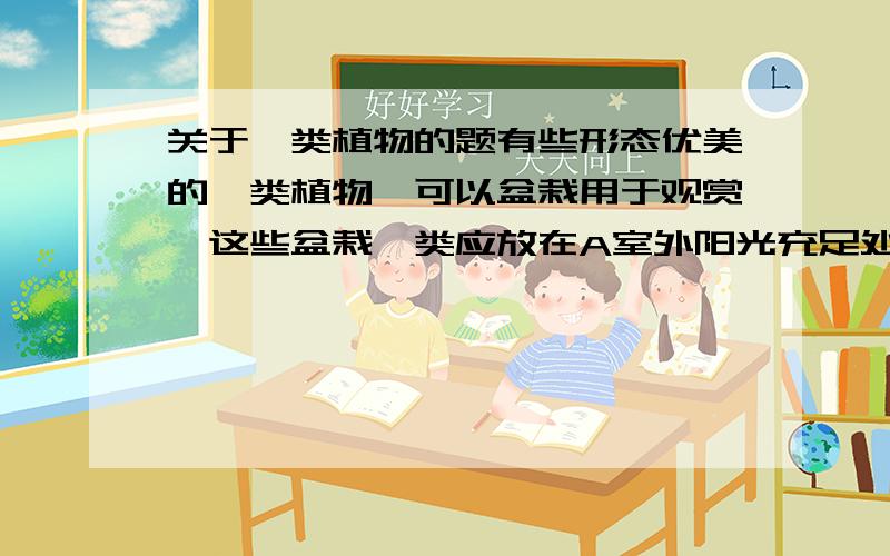 关于蕨类植物的题有些形态优美的蕨类植物,可以盆栽用于观赏,这些盆栽蕨类应放在A室外阳光充足处B室内光线阴暗处C室内光线明