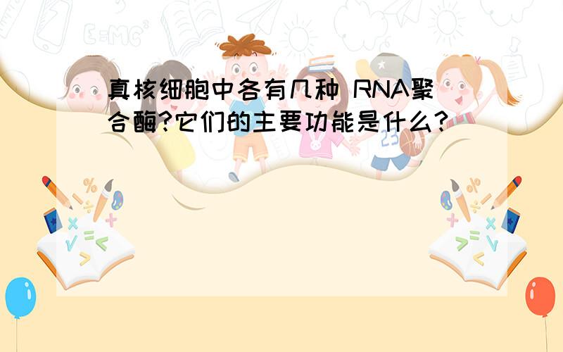 真核细胞中各有几种 RNA聚合酶?它们的主要功能是什么?