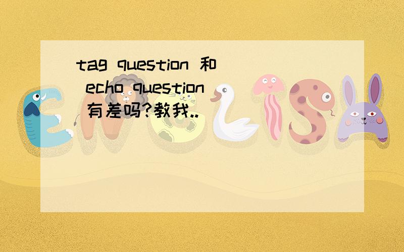 tag question 和 echo question 有差吗?教我..