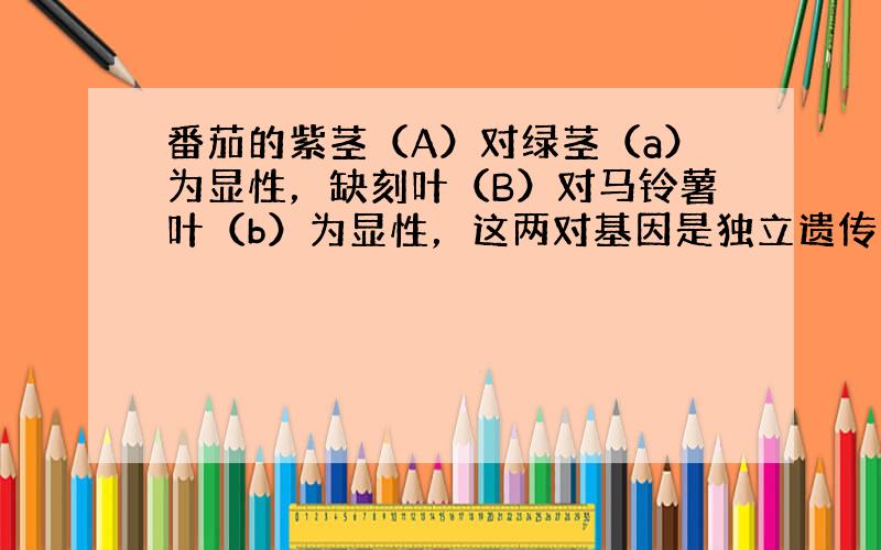 番茄的紫茎（A）对绿茎（a）为显性，缺刻叶（B）对马铃薯叶（b）为显性，这两对基因是独立遗传的，现用紫茎马铃薯叶与绿茎缺