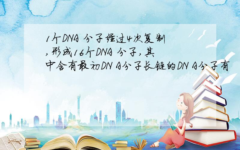 1个DNA 分子经过4次复制,形成16个DNA 分子,其中含有最初DN A分子长链的DN A分子有