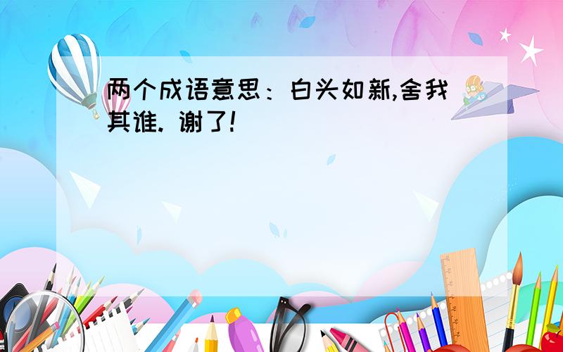 两个成语意思：白头如新,舍我其谁. 谢了!