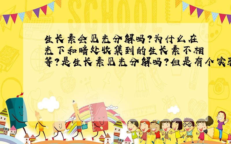 生长素会见光分解吗?为什么在光下和暗处收集到的生长素不相等?是生长素见光分解吗?但是有个实验说分别把胚芽鞘尖端切下放在琼