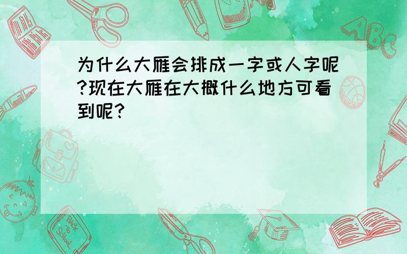 为什么大雁会排成一字或人字呢?现在大雁在大概什么地方可看到呢?