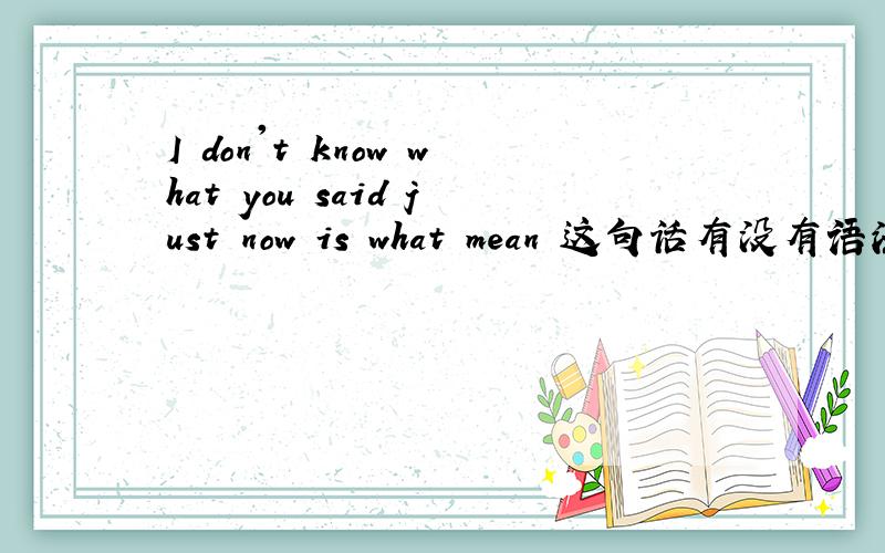 I don't know what you said just now is what mean 这句话有没有语法错误,