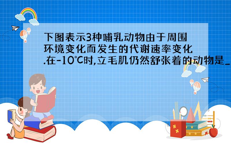 下图表示3种哺乳动物由于周围环境变化而发生的代谢速率变化.在-10℃时,立毛肌仍然舒张着的动物是____________