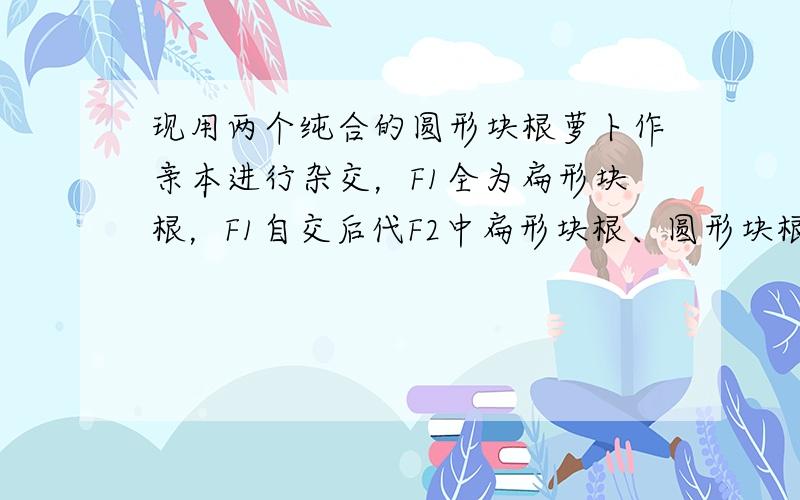 现用两个纯合的圆形块根萝卜作亲本进行杂交，F1全为扁形块根，F1自交后代F2中扁形块根、圆形块根、长形块根的比例为9：6