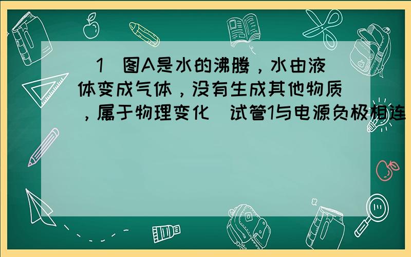 （1）图A是水的沸腾，水由液体变成气体，没有生成其他物质，属于物理变化．试管1与电源负极相连，试管1中气体体积约为试管