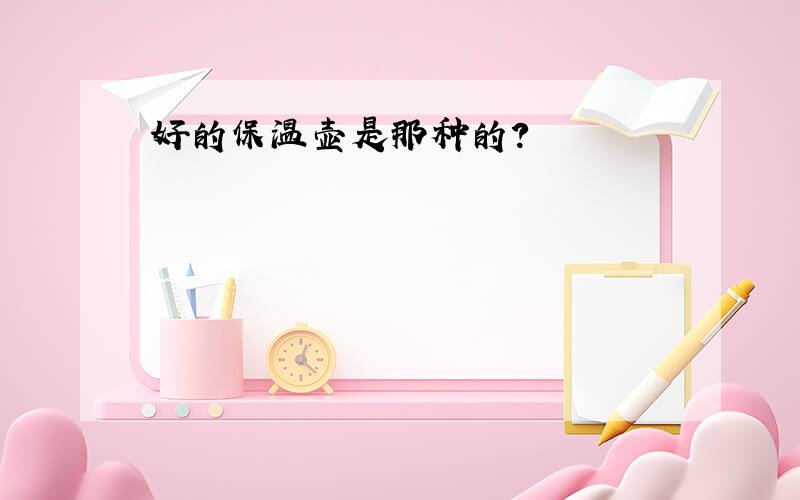 好的保温壶是那种的?