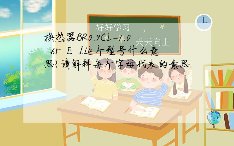 换热器BR0.9CL-1.0-65-E-I这个型号什么意思?请解释每个字母代表的意思