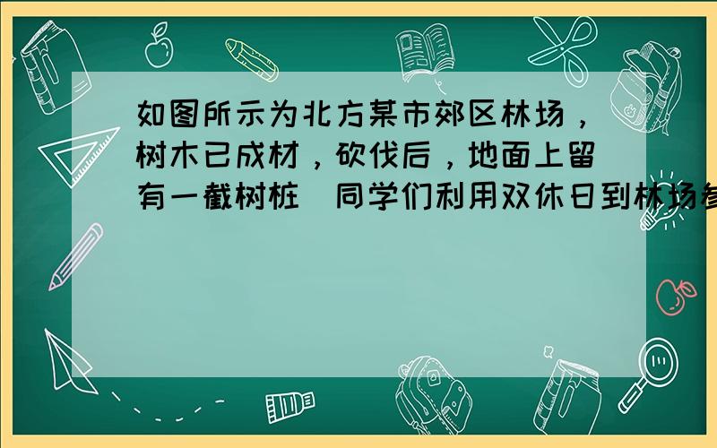 如图所示为北方某市郊区林场，树木已成材，砍伐后，地面上留有一截树桩．同学们利用双休日到林场参加植树造林活动，此时有一群大