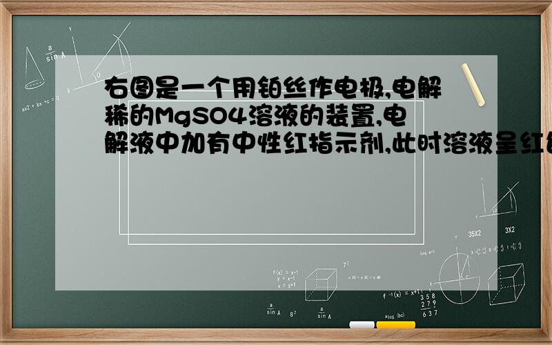 右图是一个用铂丝作电极,电解稀的MgSO4溶液的装置,电解液中加有中性红指示剂,此时溶液呈红色.（