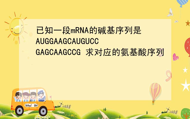 已知一段mRNA的碱基序列是AUGGAAGCAUGUCCGAGCAAGCCG 求对应的氨基酸序列