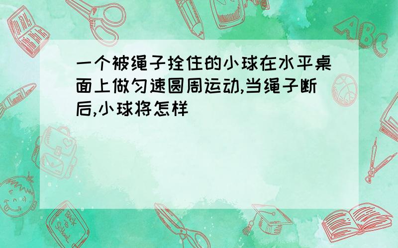 一个被绳子拴住的小球在水平桌面上做匀速圆周运动,当绳子断后,小球将怎样