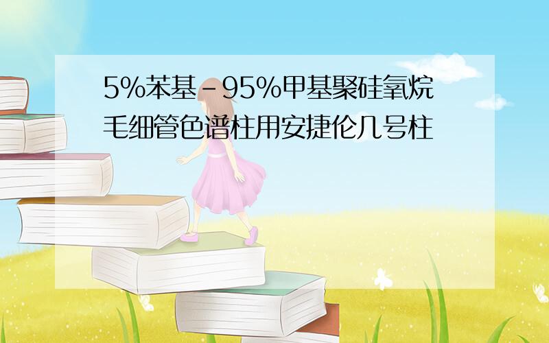 5%苯基-95%甲基聚硅氧烷毛细管色谱柱用安捷伦几号柱