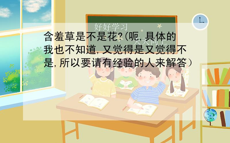 含羞草是不是花?(呃,具体的我也不知道,又觉得是又觉得不是,所以要请有经验的人来解答）