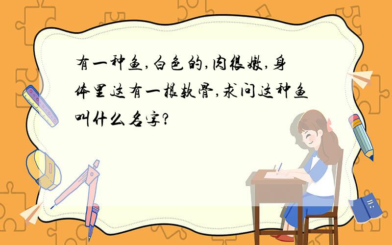 有一种鱼,白色的,肉很嫩,身体里这有一根软骨,求问这种鱼叫什么名字?