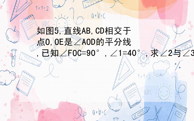 如图5,直线AB,CD相交于点O,OE是∠AOD的平分线,已知∠FOC=90°,∠1=40°,求∠2与∠3的度数.