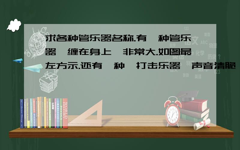 求各种管乐器名称.有一种管乐器,缠在身上,非常大.如图最左方示.还有一种,打击乐器,声音清脆,钢质.